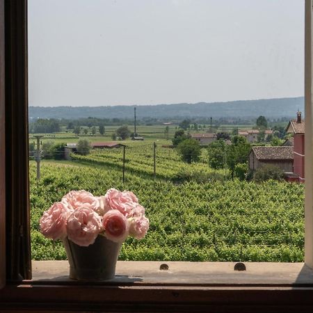 Вилла Fiori&Vigne Di Cecilia Marcon Фарра-ди-Солиго Экстерьер фото