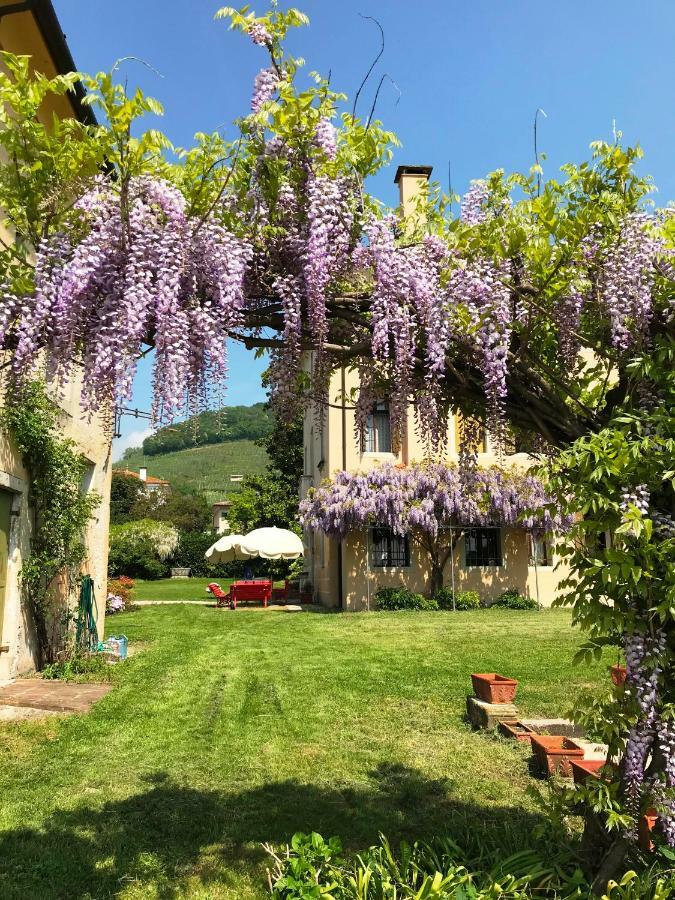Вилла Fiori&Vigne Di Cecilia Marcon Фарра-ди-Солиго Экстерьер фото